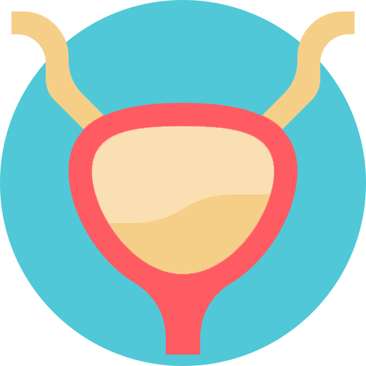 Icon of a bladder